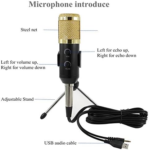 מיקרופון מקצועי הקבל מיקרופון עבור מחשב סטודיו קריוקי מיקרופון עבור וידאו הקלטה