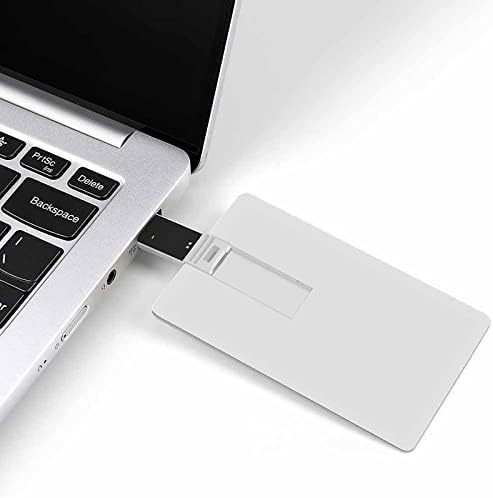סגנון וינטג 'אייל אייל USB כונן הבזק מותאם אישית לכרטיס אשראי כונן זיכרון מקל מתנות מקש USB