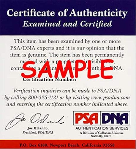 Ryne Sandberg PSA DNA COA חתום 8x10 גורי חתימות צילום