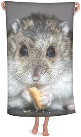 עכברוש חיה של אוגר חיית מחמד חמוד לאכול שמיכה פלנל חם רך