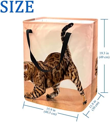 סל כביסה מתקפל בהדפס חום חתול, סלי כביסה עמידים למים 60 ליטר אחסון צעצועי כביסה לחדר שינה בחדר האמבטיה במעונות